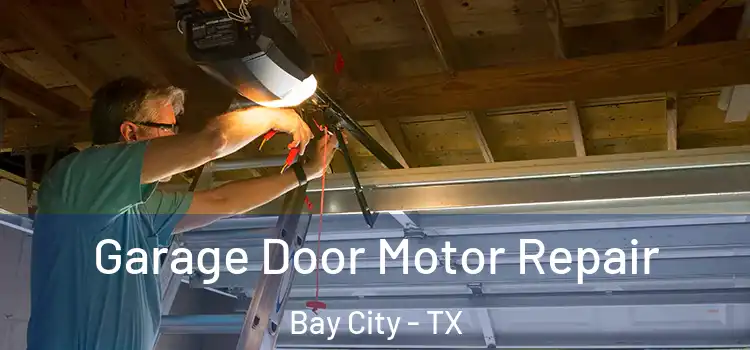  Garage Door Motor Repair Bay City - TX