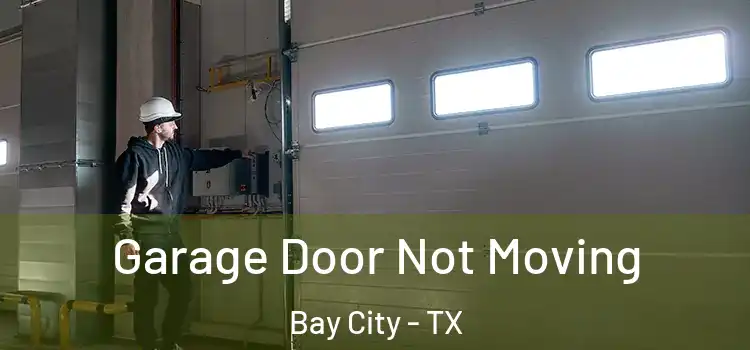  Garage Door Not Moving Bay City - TX