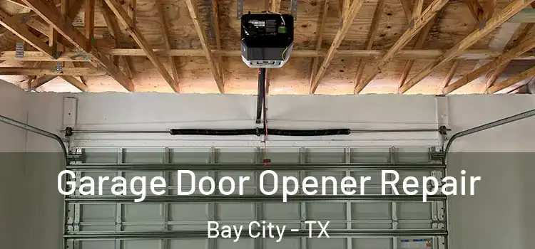  Garage Door Opener Repair Bay City - TX